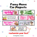 Funny Cat Car Magnet, Viral Meme Vehicle Magnet, Custom Text Available, Internet Cat Humor, Personalized Car Accessory