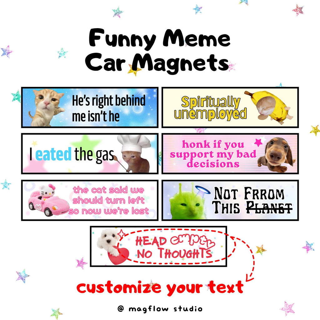 Funny Meme Car Magnet, Personalized Car Magnet, Custom Text Available, Cat & Dog Meme Designs, Custom Bumper Magnet