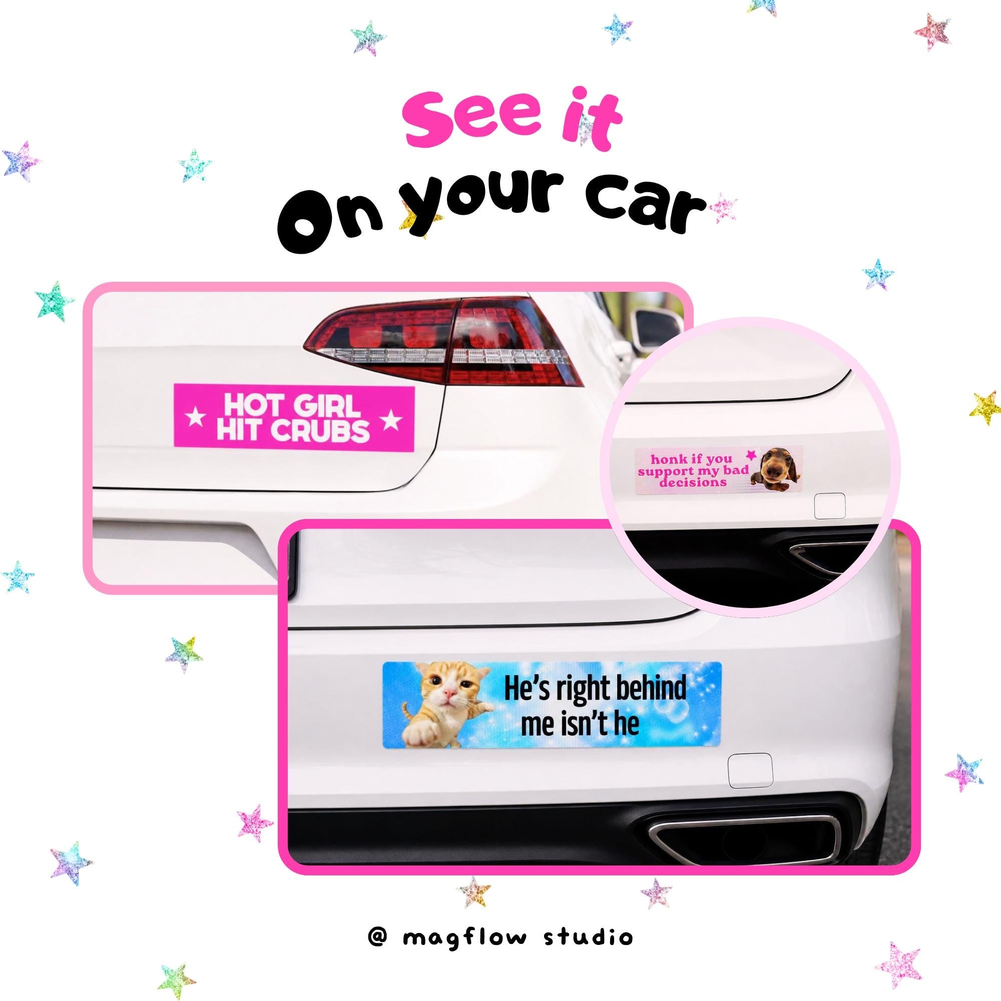 I eated the gas | Funny Meme Car Magnet, Customized Car Magnet, Cat & Dog Meme Designs, Custom Bumper Magnet
