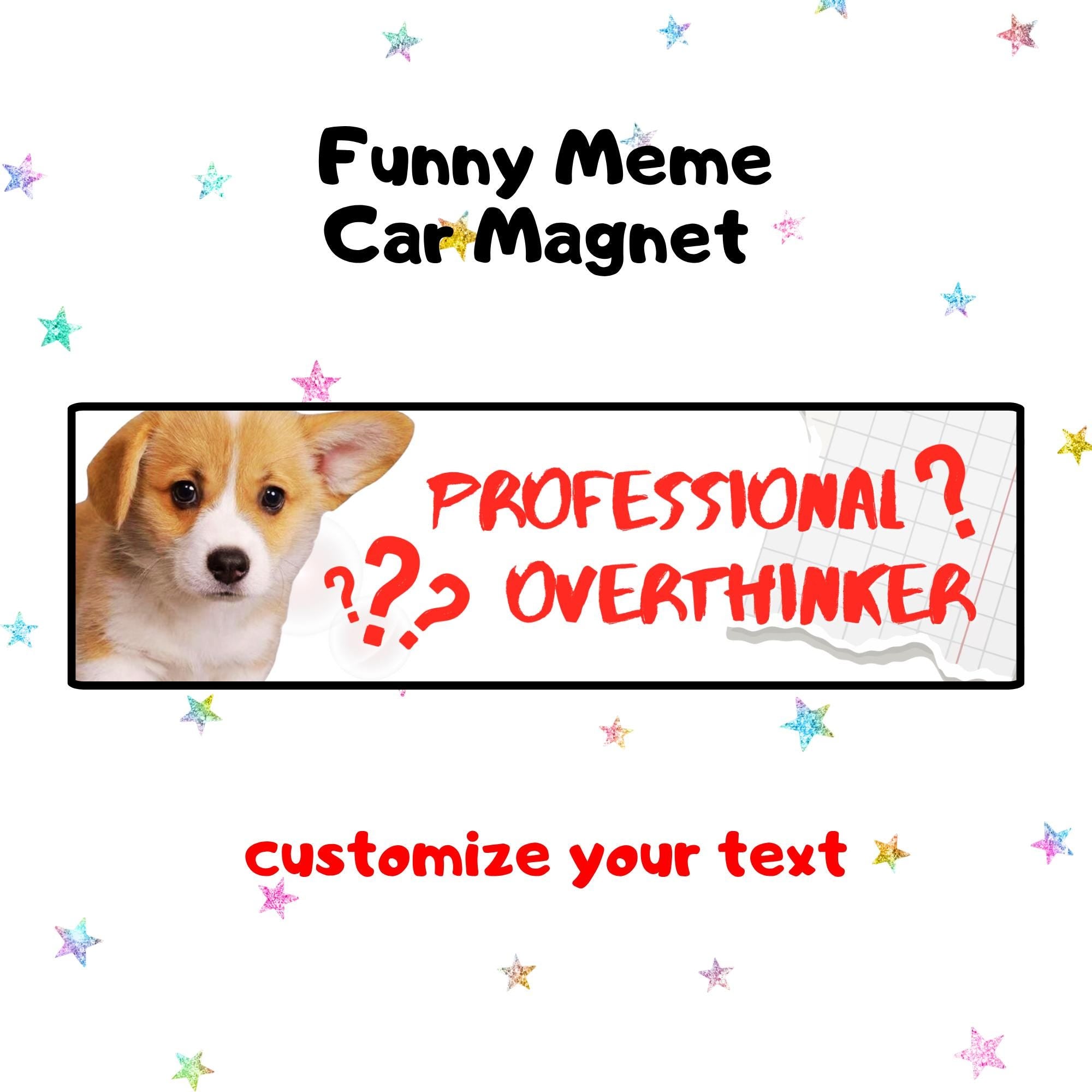 professional overthinker | Funny Meme Car Magnet, Customized Car Magnet, Cat & Dog Meme Designs, Custom Bumper Magnet