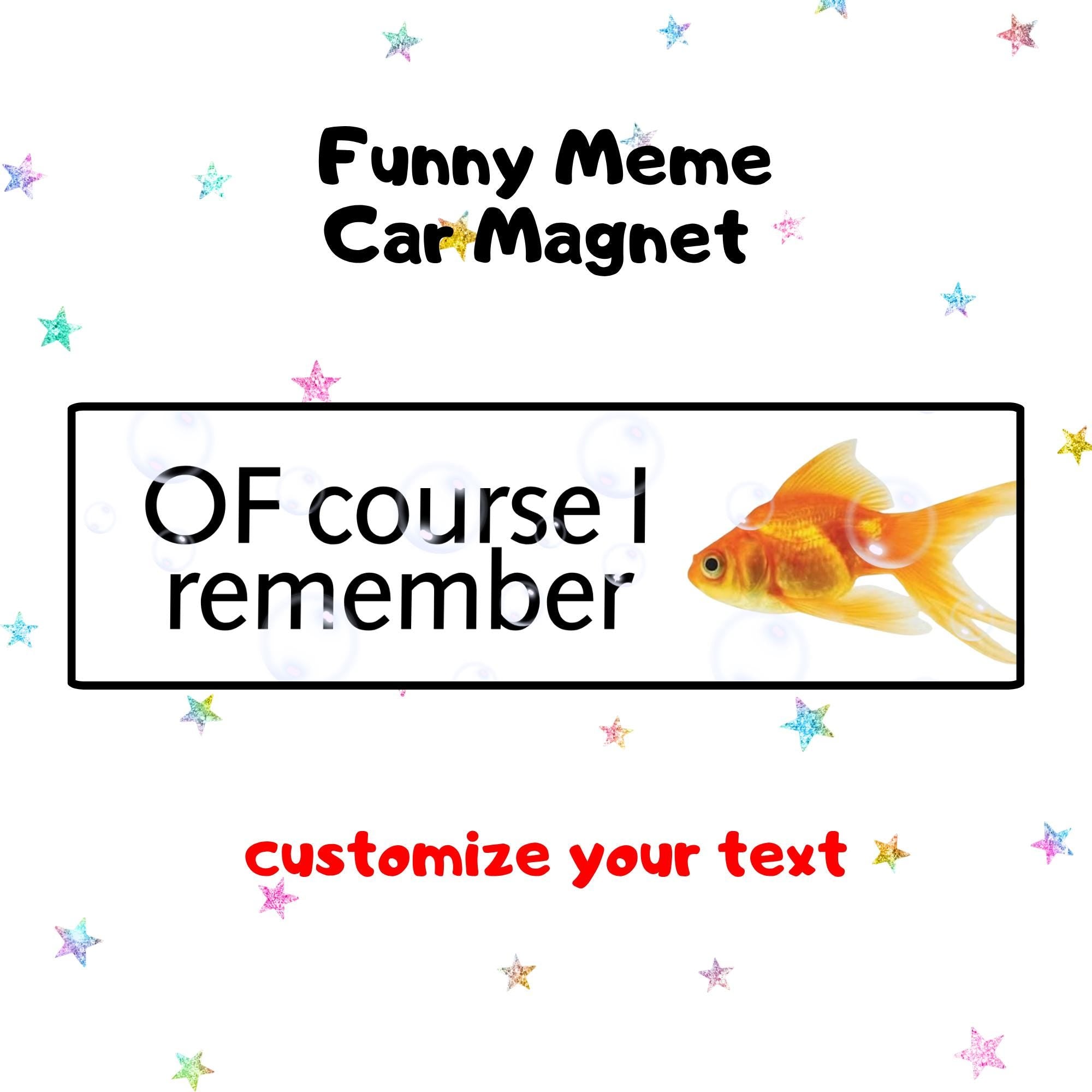 OF course I remember | Funny Meme Car Magnet, Customized Car Magnet, Cat & Dog Meme Designs, Custom Bumper Magnet